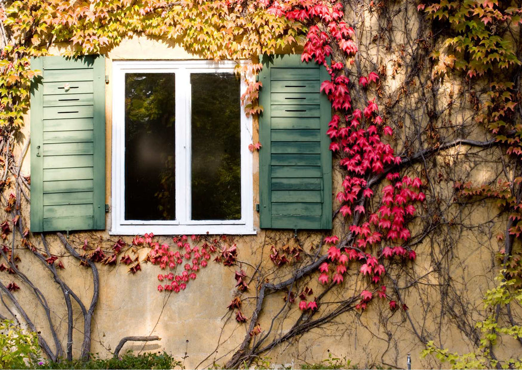 Grigio e freddo in arrivo: rinasci a casa tua!